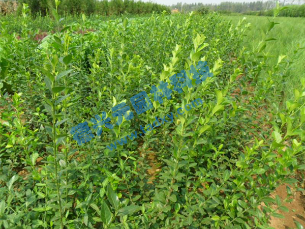 �c���鿴Ԕ����Ϣ���}�����~������ ��x�Δ���2683