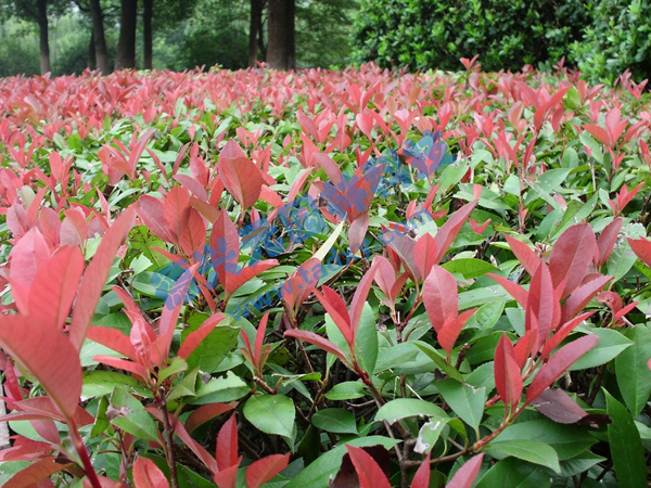 �c���鿴Ԕ����Ϣ���}���t�~ʯ� ��x�Δ���2373