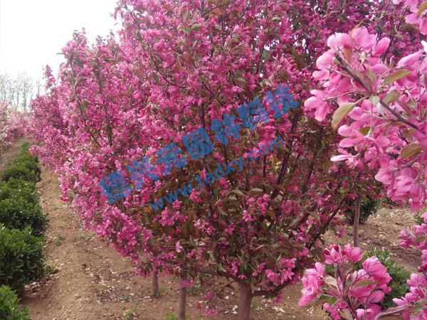 �c���鿴Ԕ����Ϣ���}���k������ ��x�Δ�(sh��)��2164